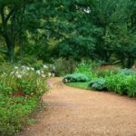 garden-path-59151_960_720